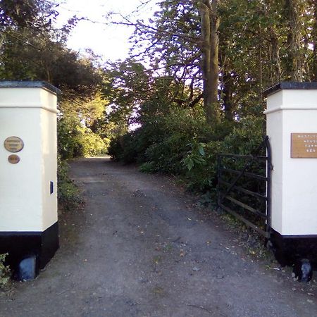 Bed and Breakfast Westleigh House Farm Bideford Exterior foto