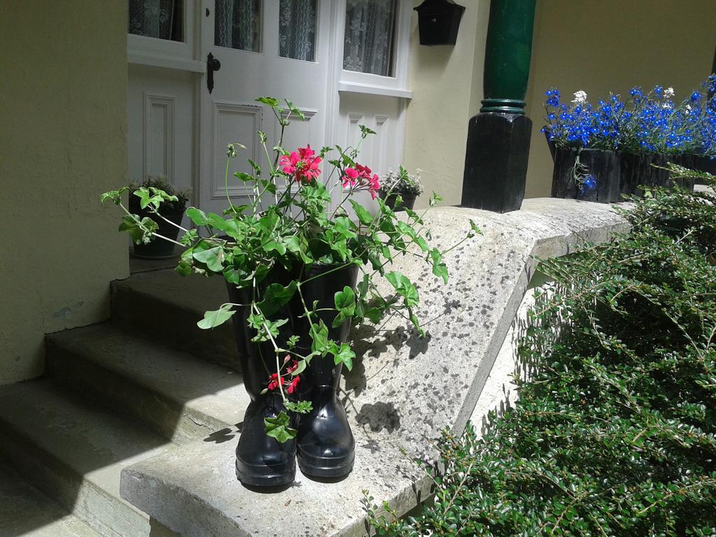 Bed and Breakfast Westleigh House Farm Bideford Zimmer foto