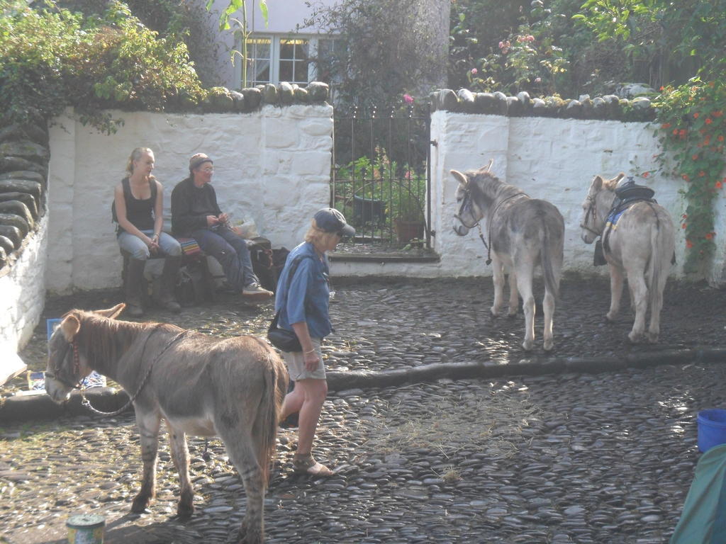 Bed and Breakfast Westleigh House Farm Bideford Exterior foto