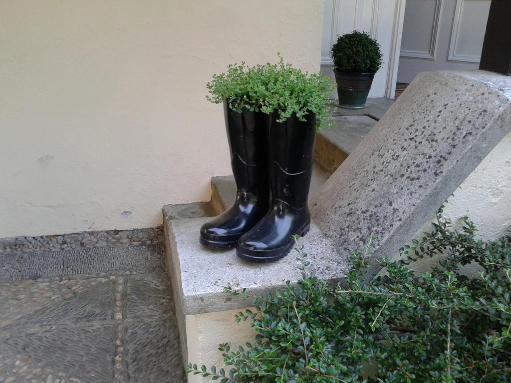Bed and Breakfast Westleigh House Farm Bideford Exterior foto